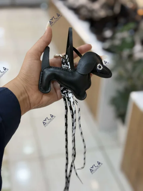 چارم بگ سگ